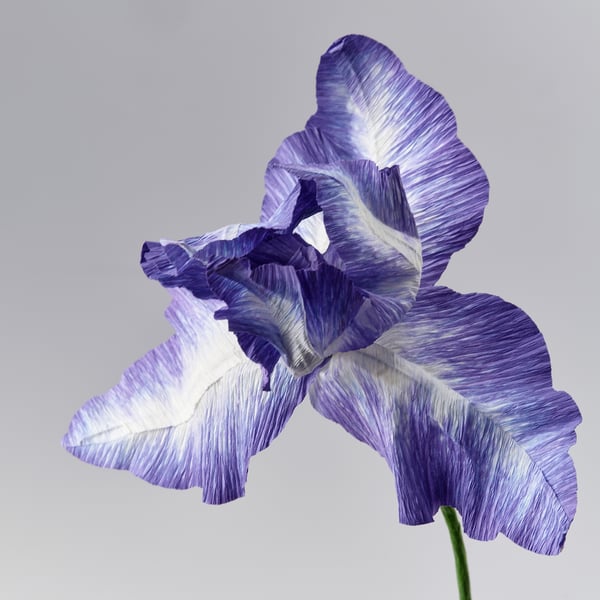GULDSPETT Kunstig blomst, papir/iris blå, 45 cm
