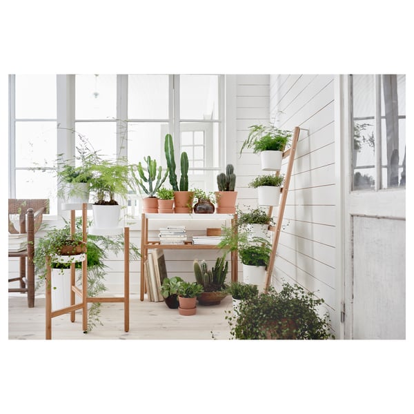 Lyst rum med forskellige potteplanter udstillet på et lyst træ og hvidt stigestativ nær et vindue.