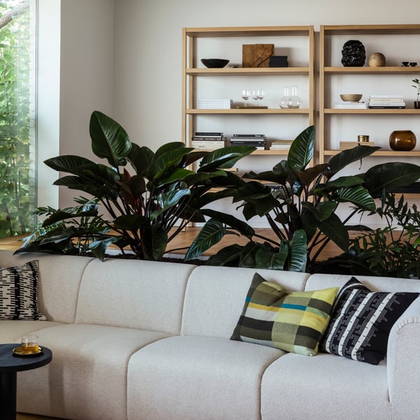 Hvid sofa, stribede puder, planter, bogreoler, trægulv, glasdøre til grønne områder.