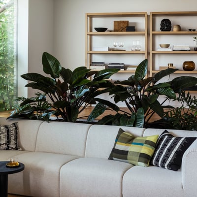 Hvid sofa, stribede puder, planter, bogreoler, trægulv, glasdøre til grønne områder.