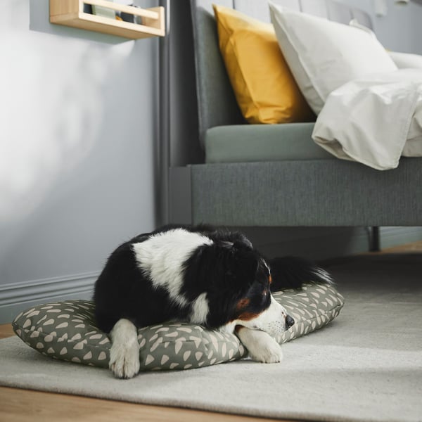En sort-hvid hund sover komfortabelt på en mønstret grøn kæledyrspude i et hyggeligt rum med en lyseblå sofa og trægulv.