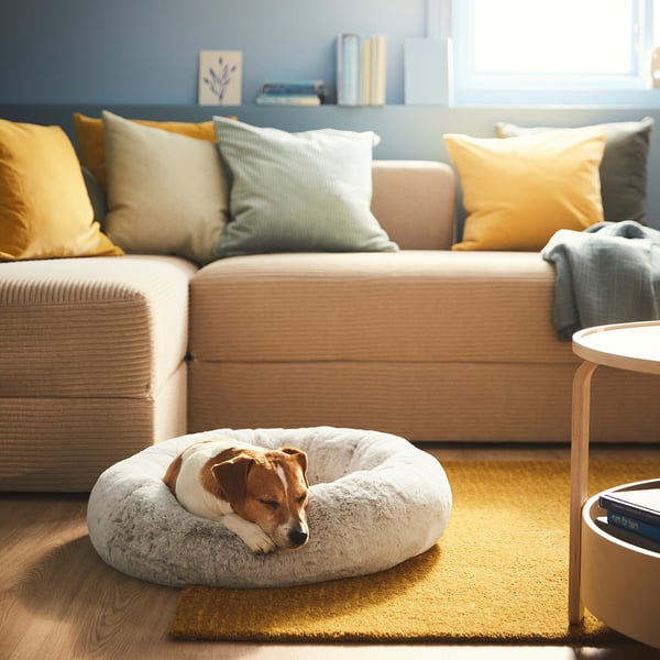 Hundeseng i stuen, hyggelig med høj kant, ved siden af stor beige sektion med farverige puder.