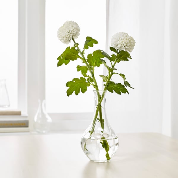 VILJESTARK Vase, klart glas, 17 cm