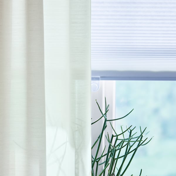 White honeycomb blind partially drawn, beside sheer curtain and green plant.