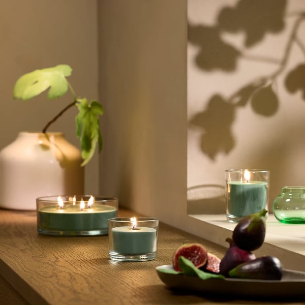 LOTSFÅGEL Scented candle in glass, Fig leaf green, 40 hr