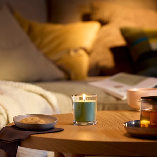 LOTSFÅGEL Scented candle in glass, Fig leaf green, 40 hr