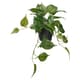 Artificial plants & flowers