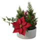 Holiday pots & plants