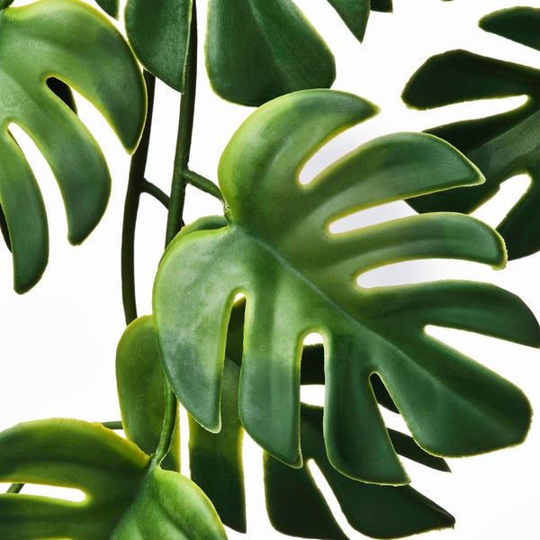 FEJKA Kunsttaim potis, tuppa/õue rippuv/monstera, 9 cm