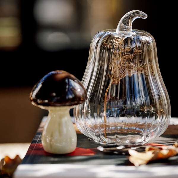 HÖSTAGILLE قبة زجاجية, زجاج شفاف, 15 سم