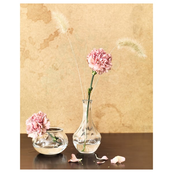 VILJESTARK زهرية, زجاج شفاف, 17 سم