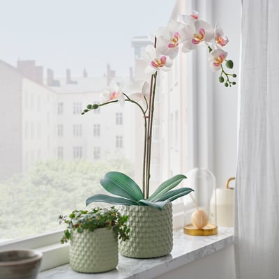FEJKA Artificial potted plant, Orchid white, 12 cm