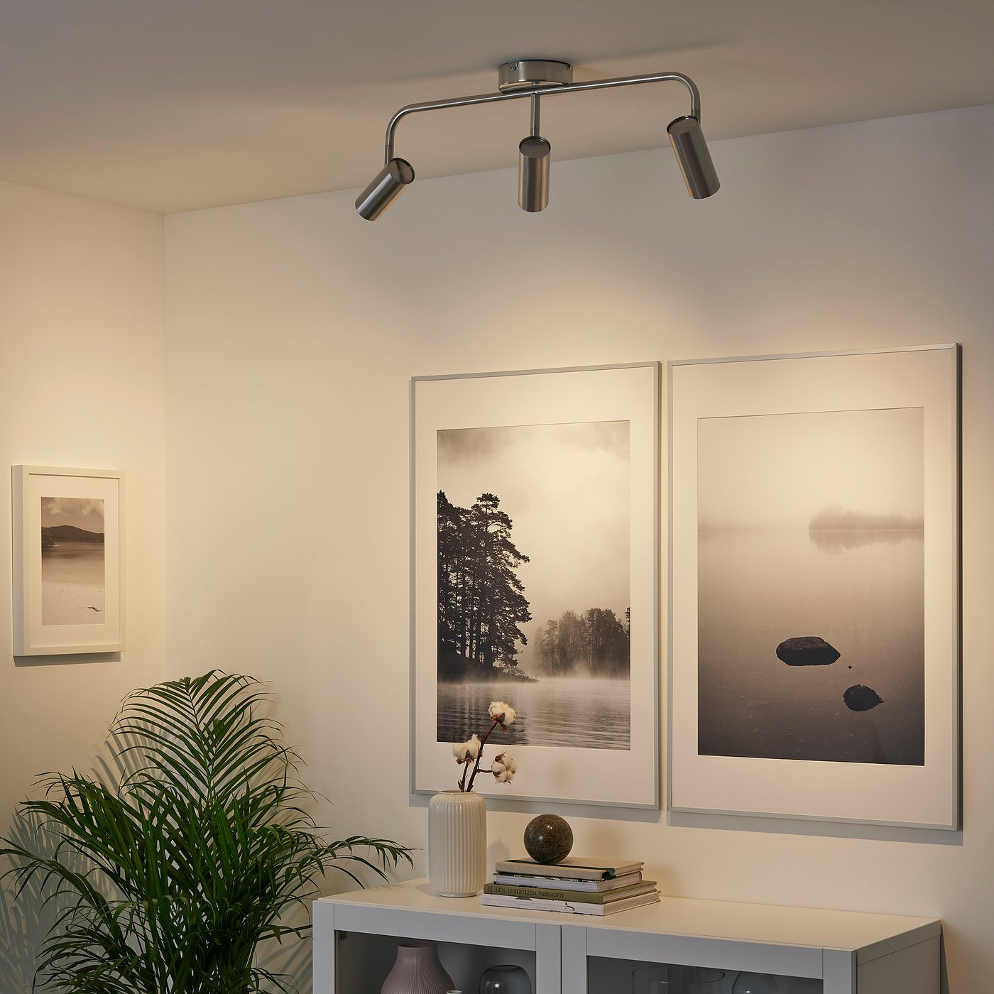 Modern room with track lighting, plant, vases, books, and black-and-white photos.