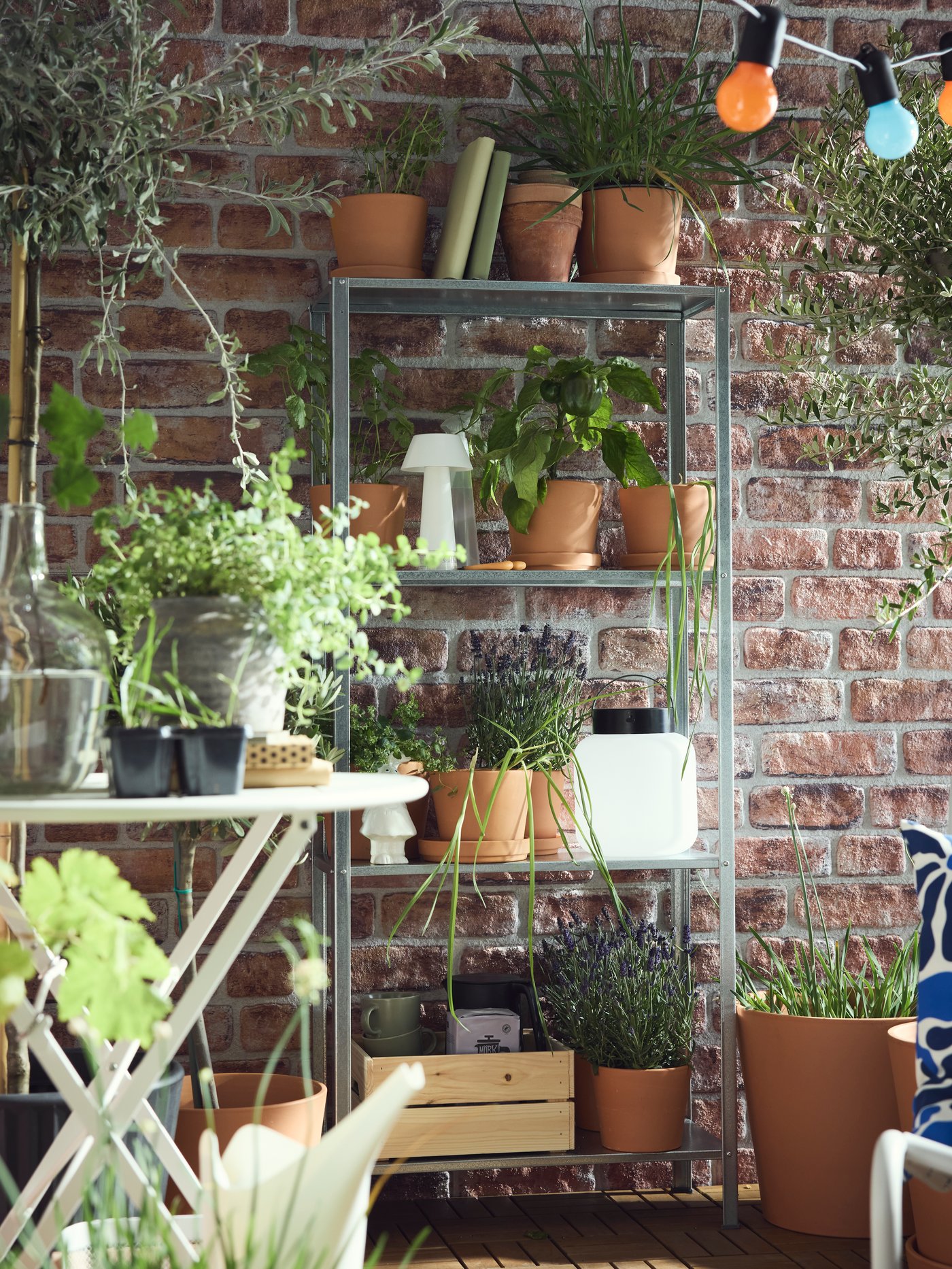 Against a brick wall is a galvanised steel HYLLIS shelving unit holding various flowers and herbs in many outdoor plant pots.