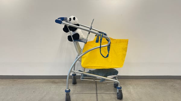 お子さまが乗れるショッピングカート