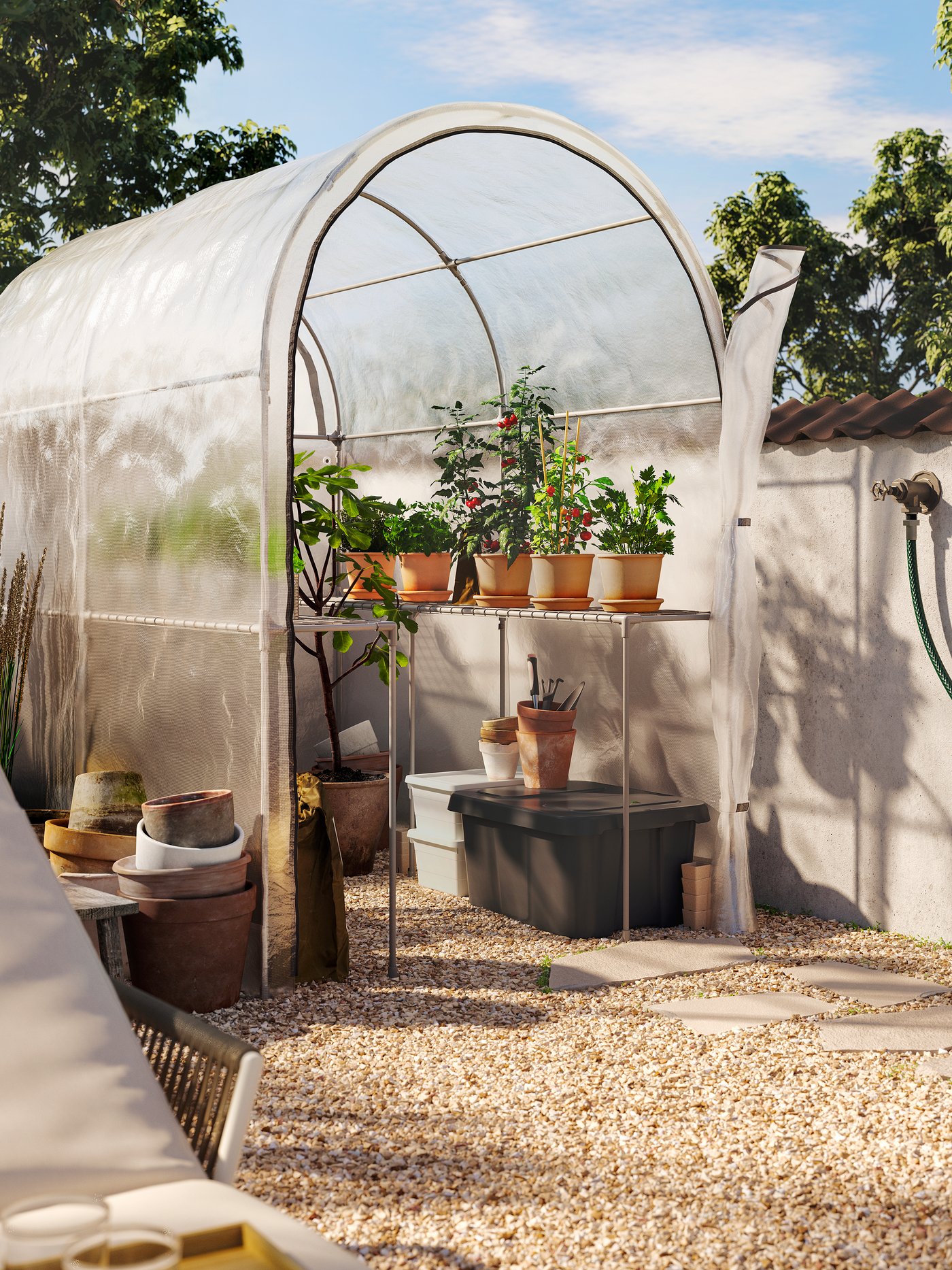 A transparent white ASPAREN greenhouse with rounded edges is in a sunny garden. Inside are herb-filled terracotta pots.