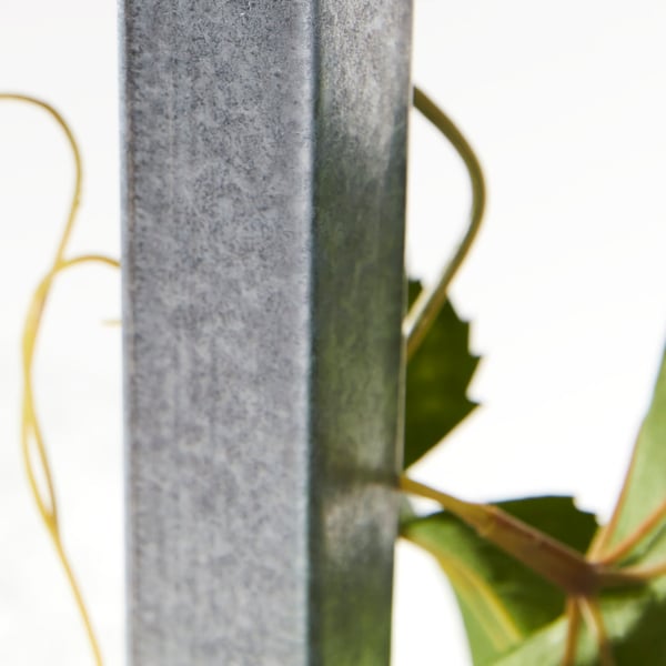 A plant stem and leaves around the metal frame of a HYLLIS shelving unit. Part of a larger image showing the shelving unit.