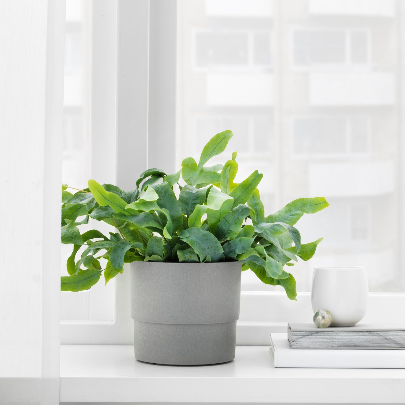 An in/outdoor grey NYPON plant pot