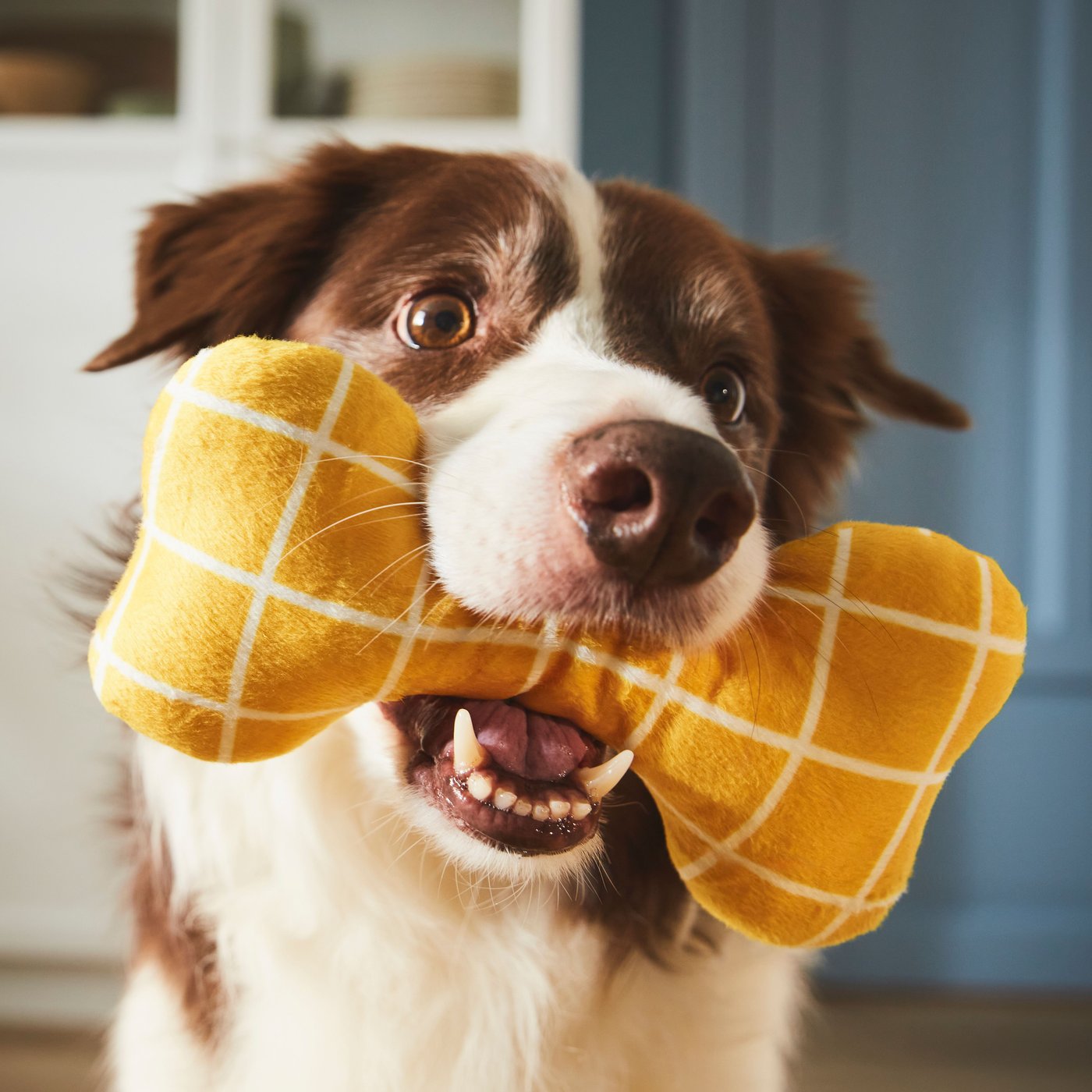 An yellow UTSÅDD soft toy for dog