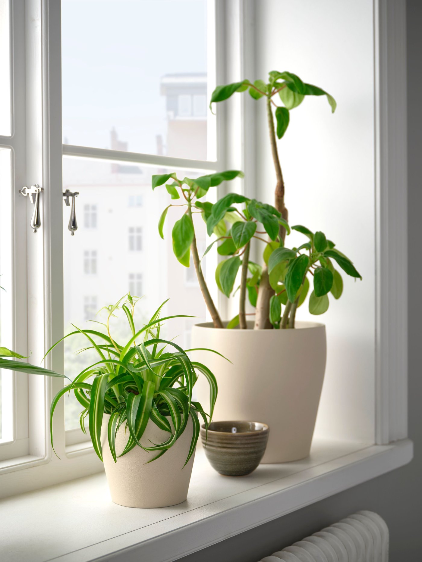 A light beige PERSILLADE plant pot
