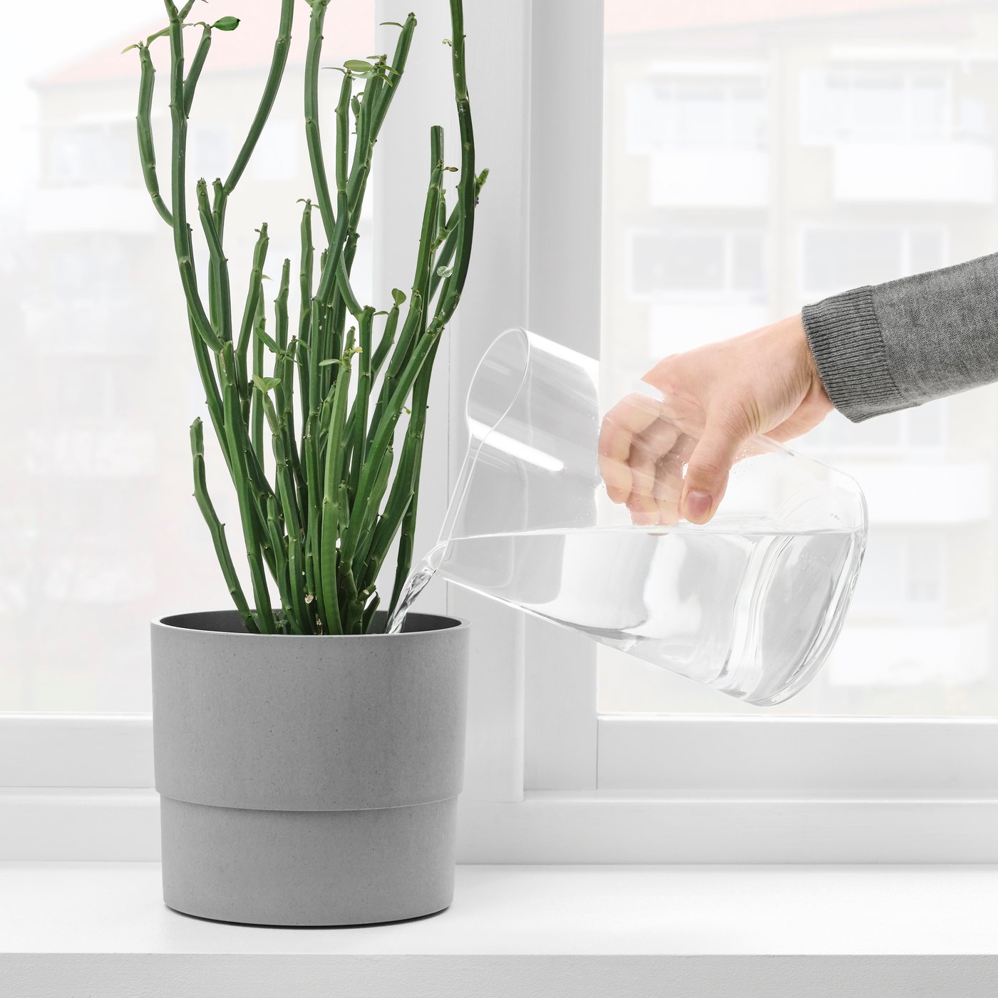 A clear glass CHILIFRUKT vase/watering can