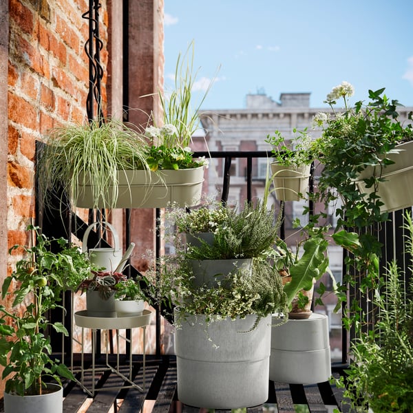 Balcon rempli de plantes en pots et d’herbes aromatiques dans divers contenants. Un espace urbain verdoyant et accueillant.