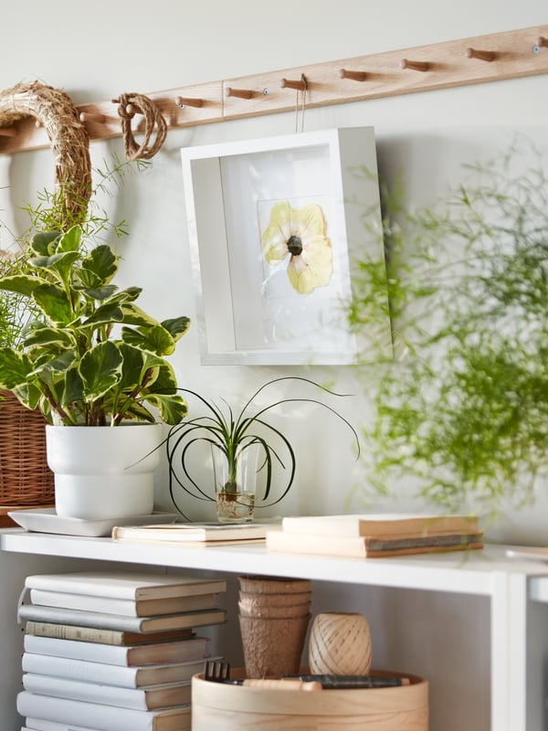 Libreros blancos BILLY con libros y múltiples plantas. De una hilera de soportes de roble HÖVOLM en la parte superior cuelga un marco blanco SANNAHED.