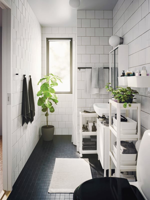 Une salle de bains blanche et lumineuse est décorée avec quelques plantes d’intérieur.