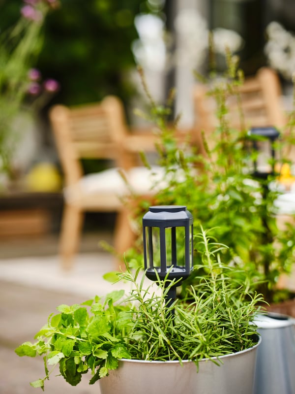 Gros plan sur une lampe à LED SOLVINDEN à énergie solaire plantée dans un pot d’herbes aromatiques.