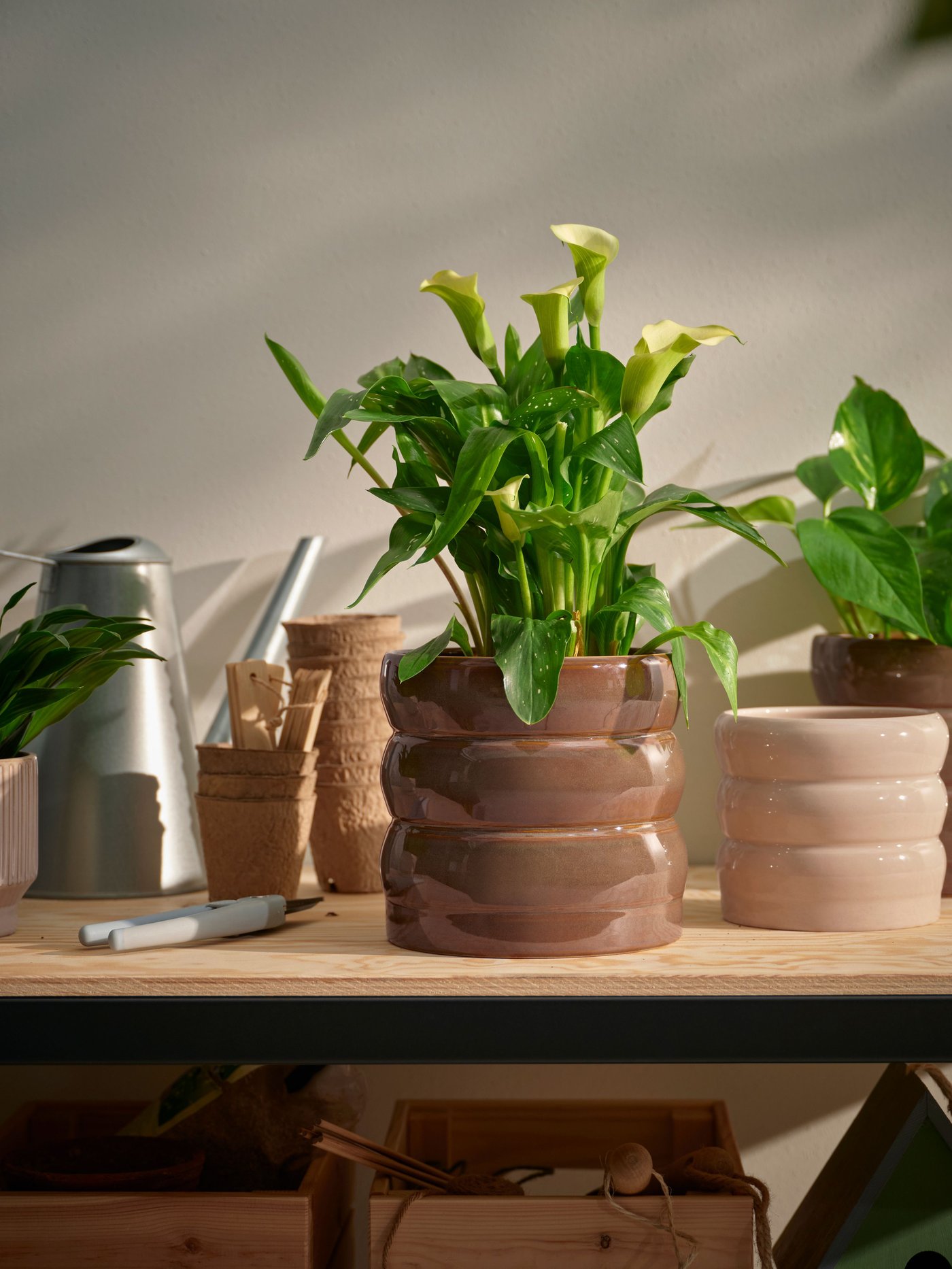 An in/outdoor/beige HASSELBUKETT plant pot outside