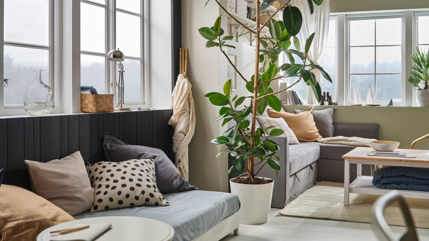 A cosy living room with a large green plant in a white SOJABÖNA plant pot dividing two different seating areas.