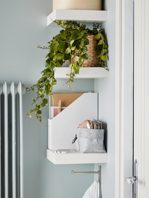 Three LACK white wall shelves with a green trailing plant in a plant pot, a white magazine file and various items on top.