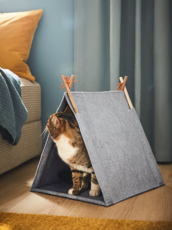 IKEA UTSÅDD felt grey cat house in the bedroom. 