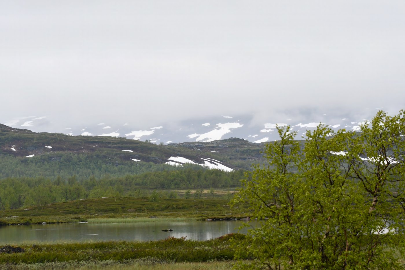 En landskapsbild över en sjö och ett berg.