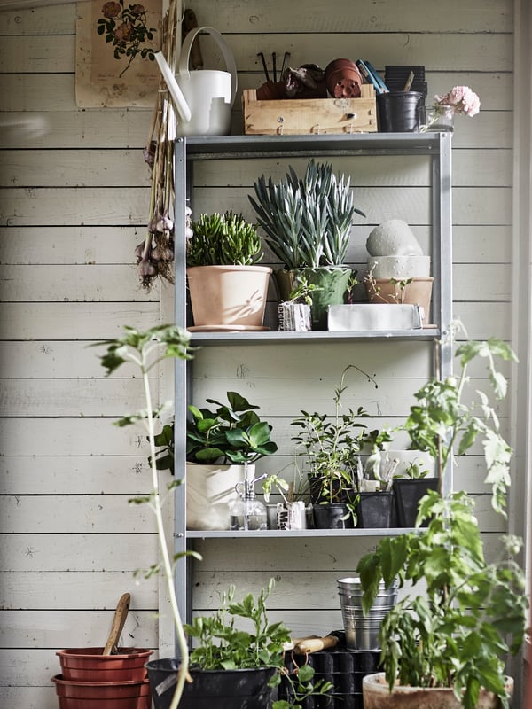 Pared con tablas de color blanco con un estante de exterior lleno de plantas.