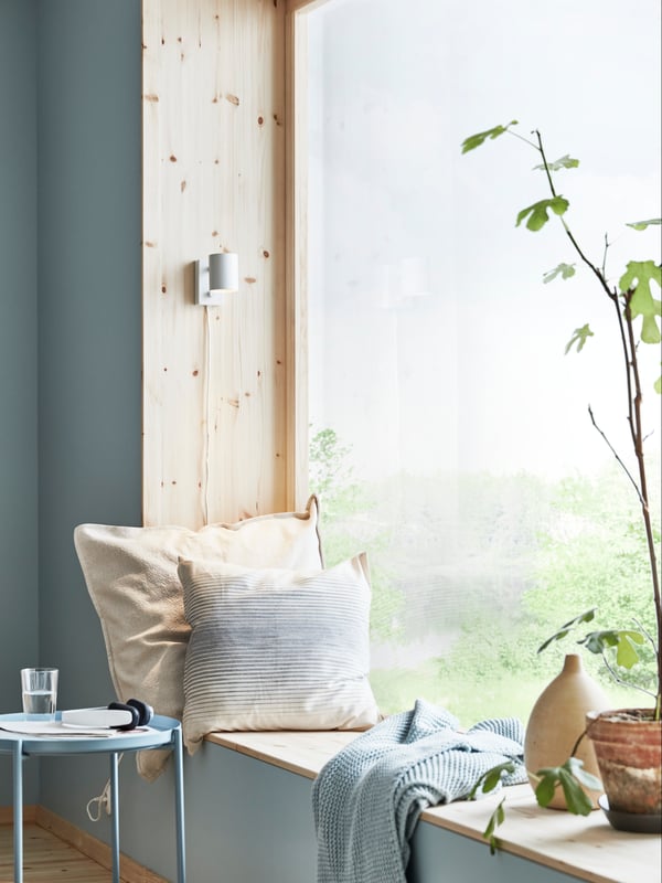 Zwei Kissen auf einer Fensterbank, ein Couchtisch und eine Pflanze in einer hellen Ecke.