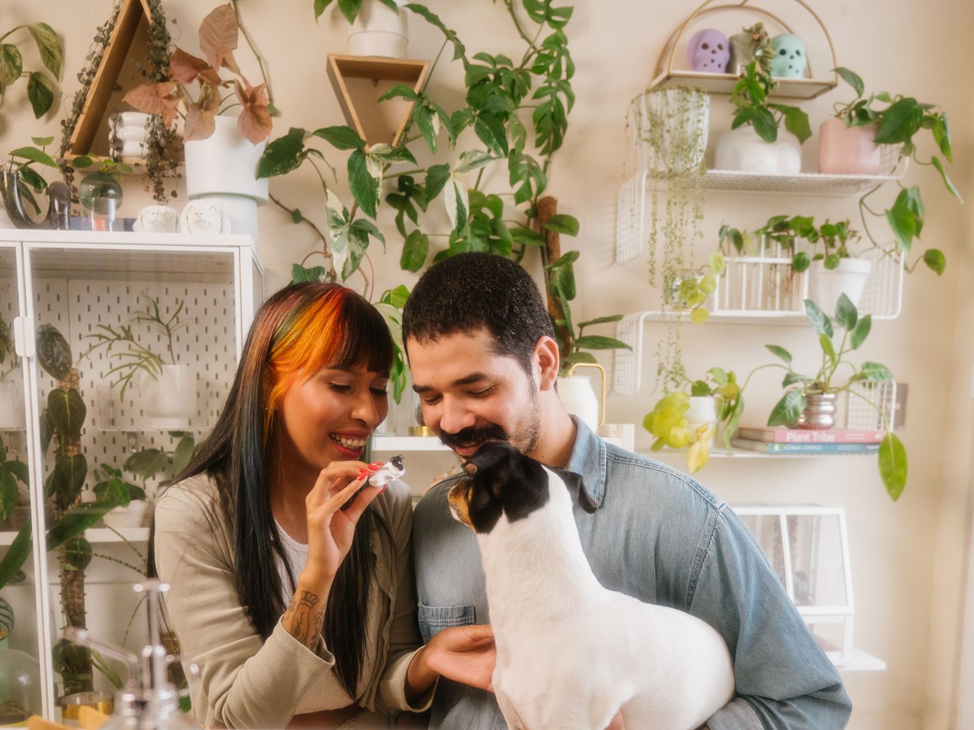 A woman and a man playing with a dog while sitting in front of shelves and cabinets decorated with plants.