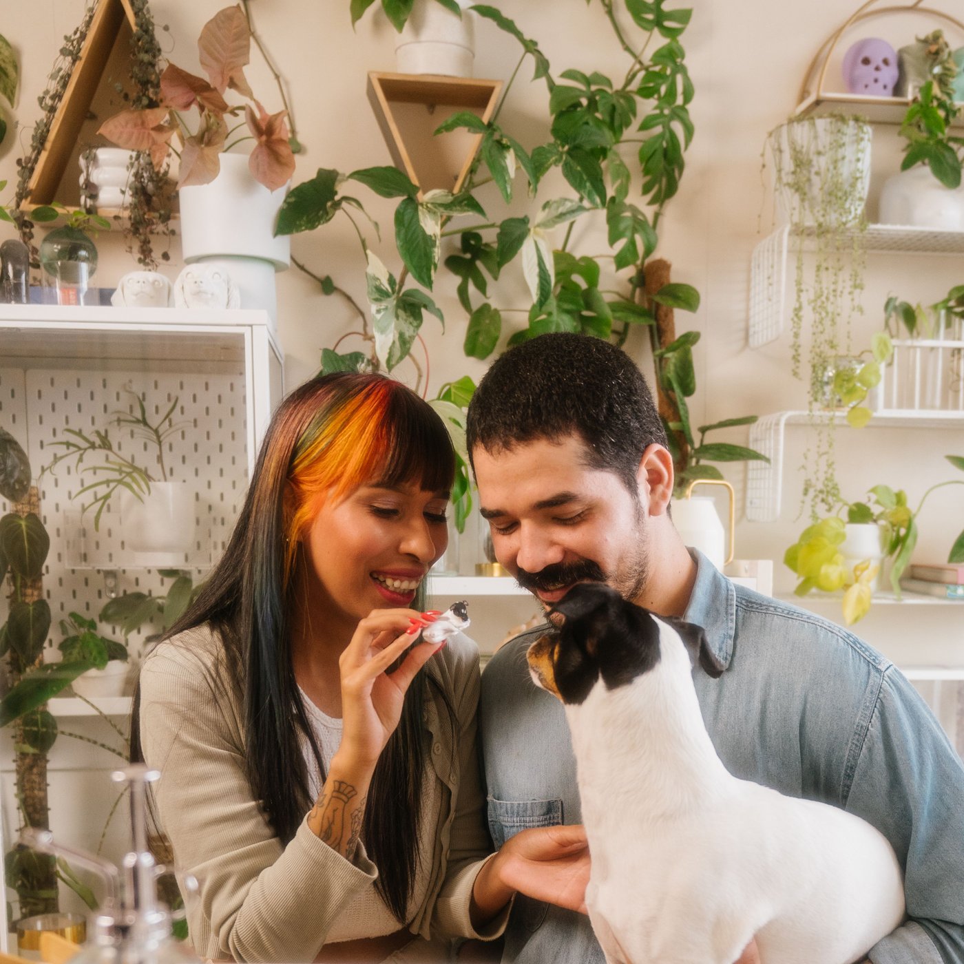 A woman and a man playing with a dog while sitting in front of shelves and cabinets decorated with plants.