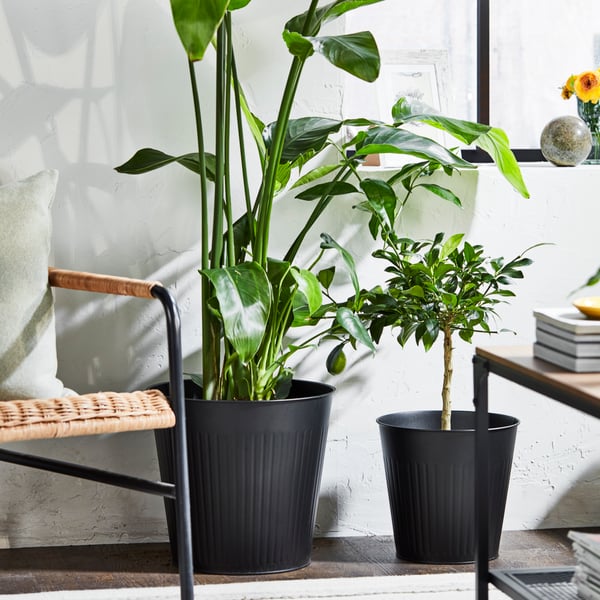 Outdoor area with CITRONMELISS plant pots and plants next to an outdoor armchair. 