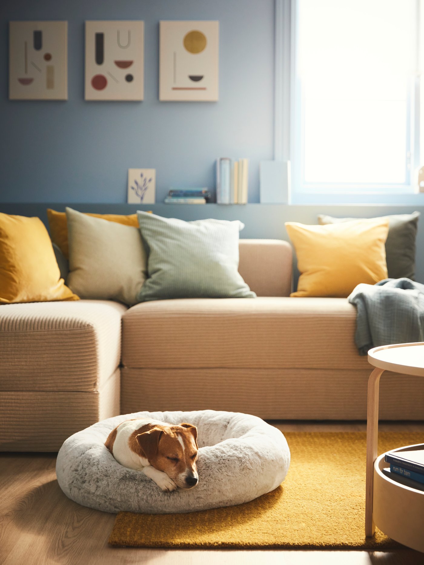 A light grey UTSÅDD pet bed
