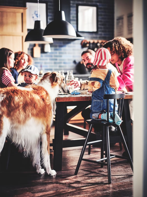 Una zona de comedor con una familia sentada en una mesa SKOGSTA de comedor de acacia con una silla negra AGAM para niños y lámparas de techo encima.