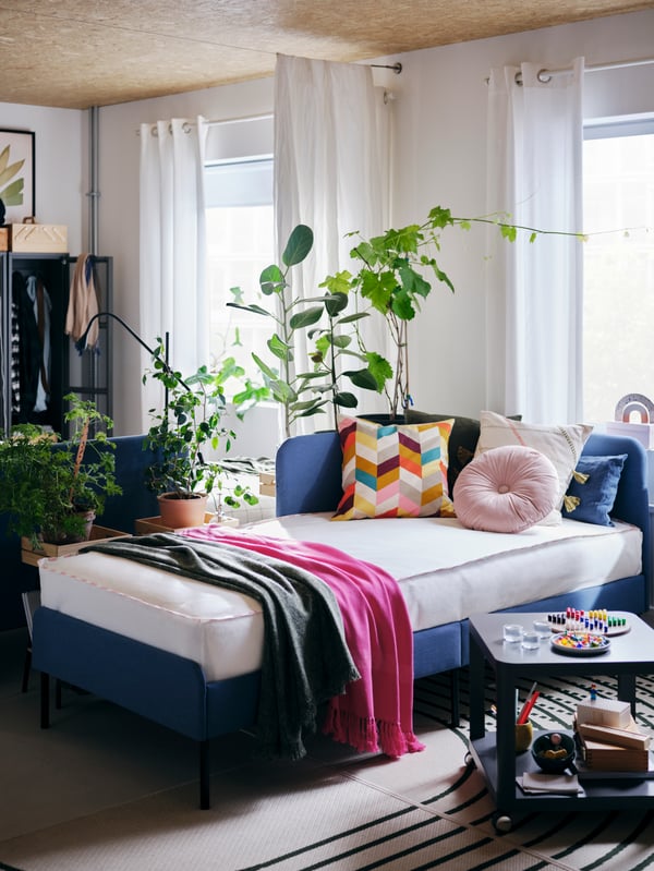 A blue BLÅKULLEN bed with various colourful cushions and throws, a grey TINGBY side table, green plants and white curtains.