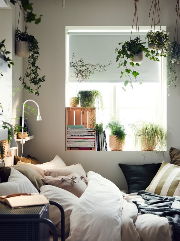 Ein gemütliches Schlafzimmer mit einem Fenster, das von hängenden Pflanzen umrahmt wird. Die weichen Kissen und Decken auf dem Bett sorgen für eine entspannte Atmosphäre. Regale mit Büchern und Pflanzen schaffen einen grünen, natürlichen Touch und verleihen dem Raum eine einladende, ruhige Stimmung. Perfekt für einen Ort der Entspannung und Erholung.