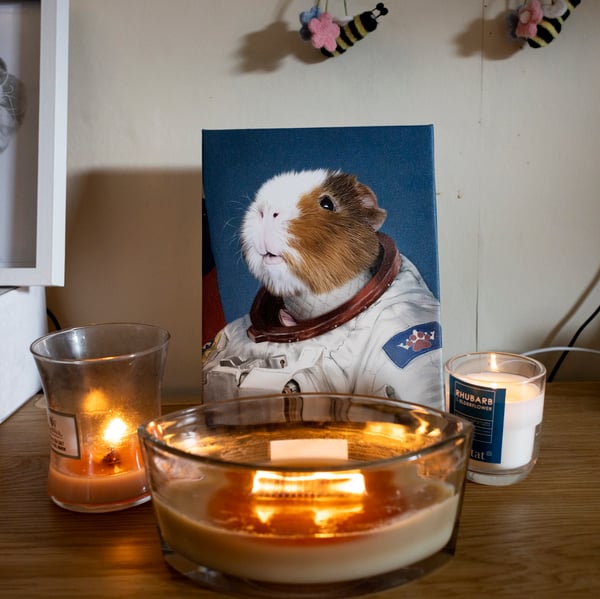 Shrine to a portrait of a hamster in a space suit, surrounded by candles.