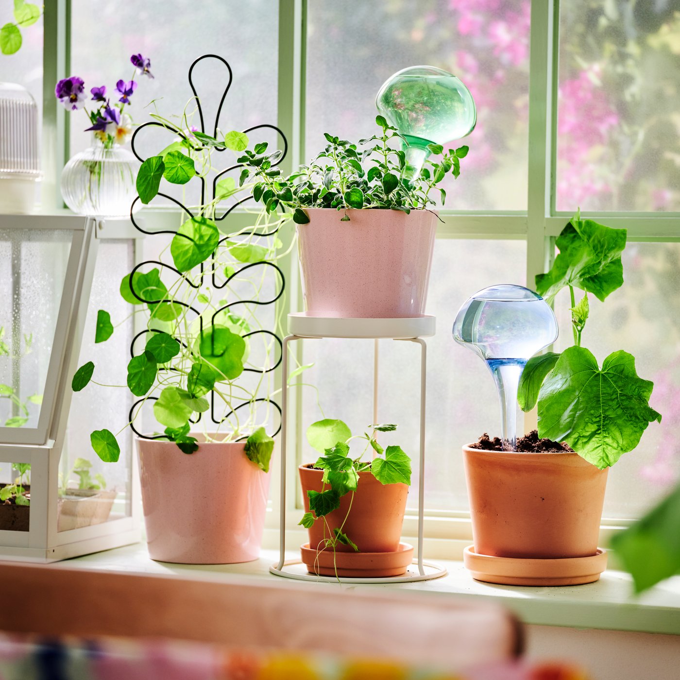 A light pink SOJABÖNA plant pot in the dining room