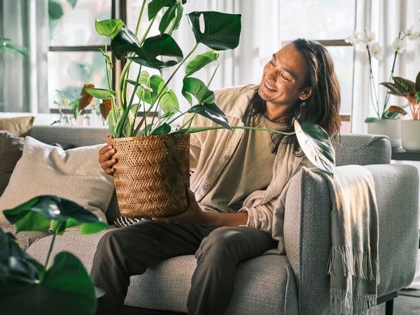 A smiling person sitting on a light-grey ÄPPLARYD three-seat sofa holding a monstera planted in a KLYNNON bamboo plant pot.