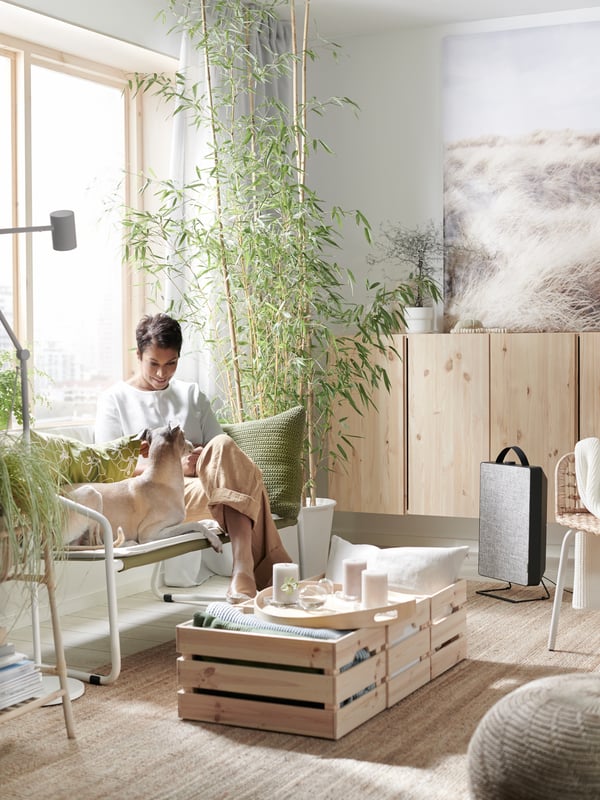 A woman and a dog sitting on an INGMARSÖ sofa.