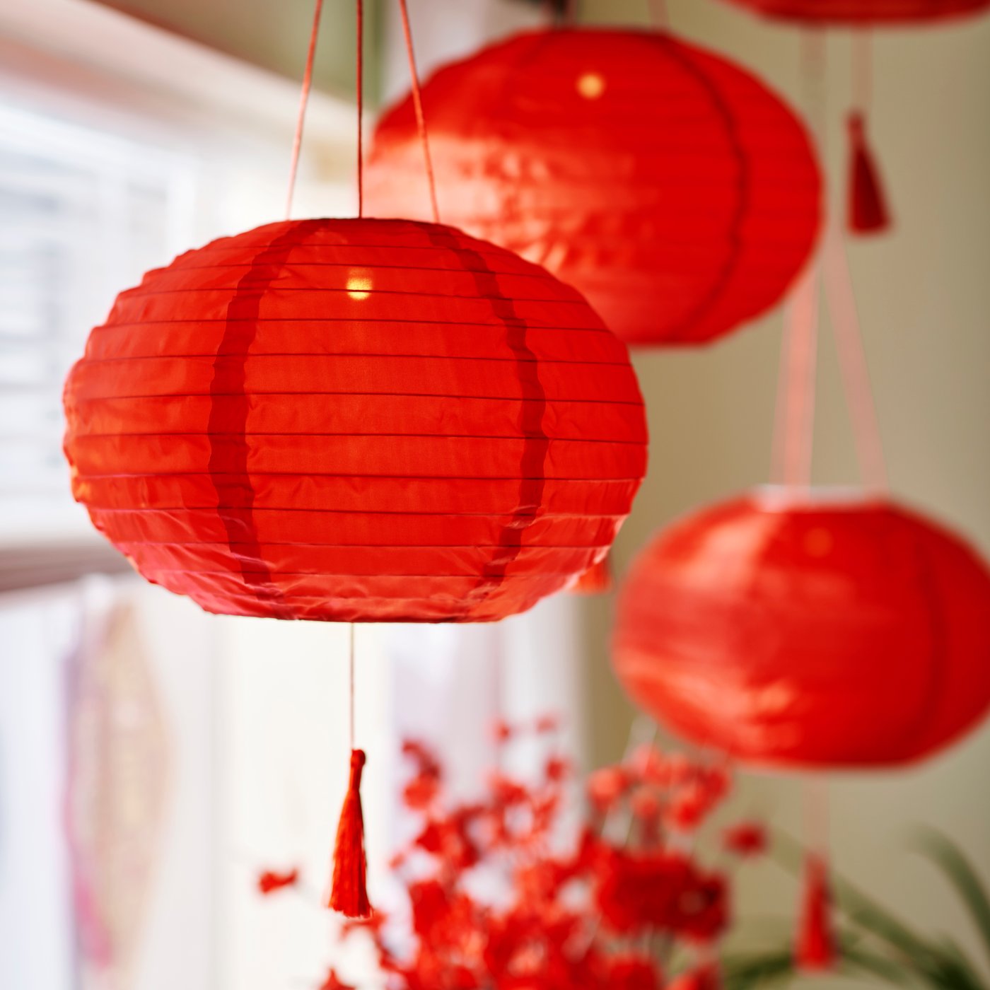 A close-up of several red FÖSSTA LED lanterns hanging from the ceiling in front of a window, next to some red flowers.