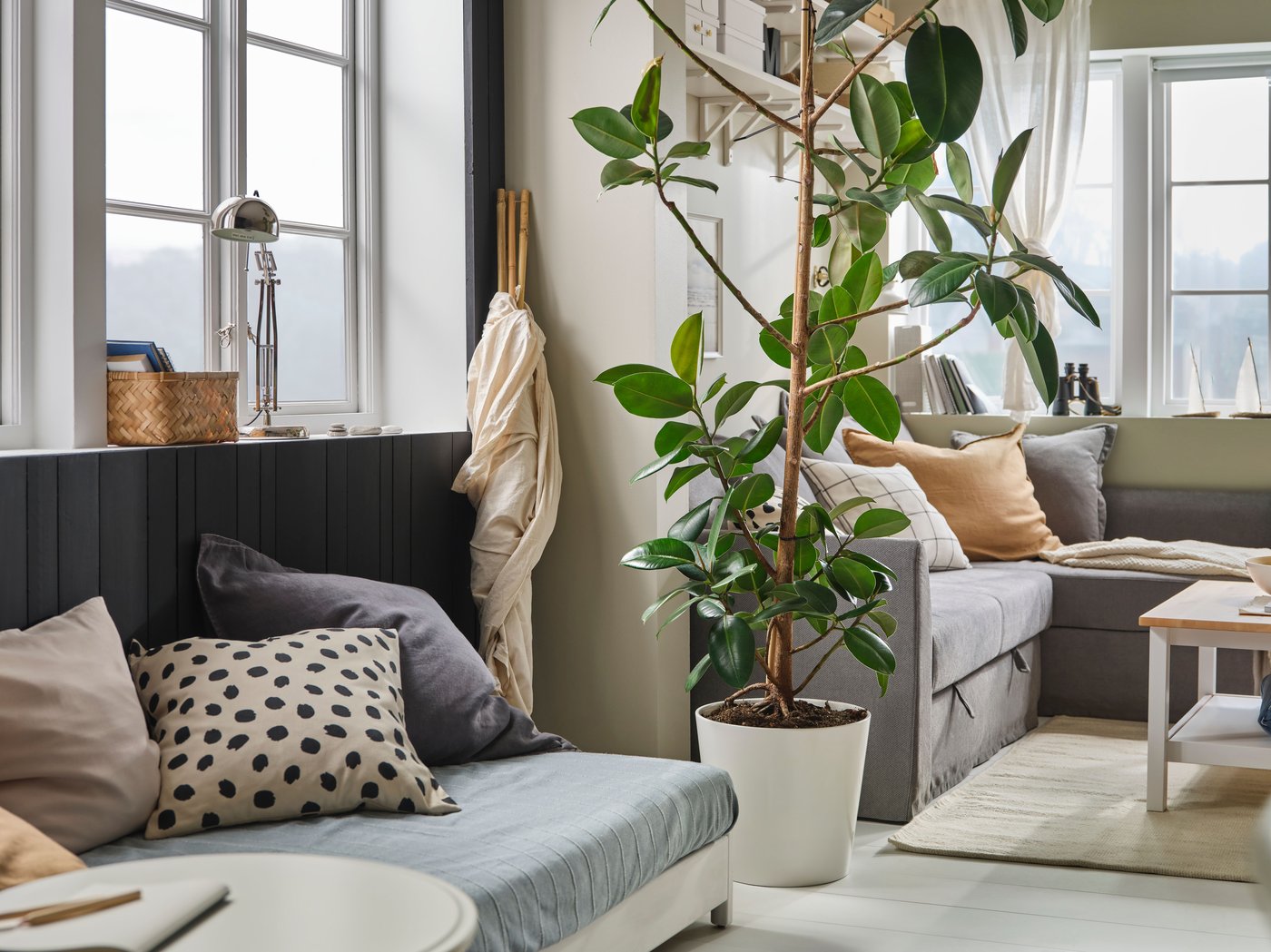A cosy living room with a large green plant in a white SOJABÖNA plant pot dividing two different seating areas.