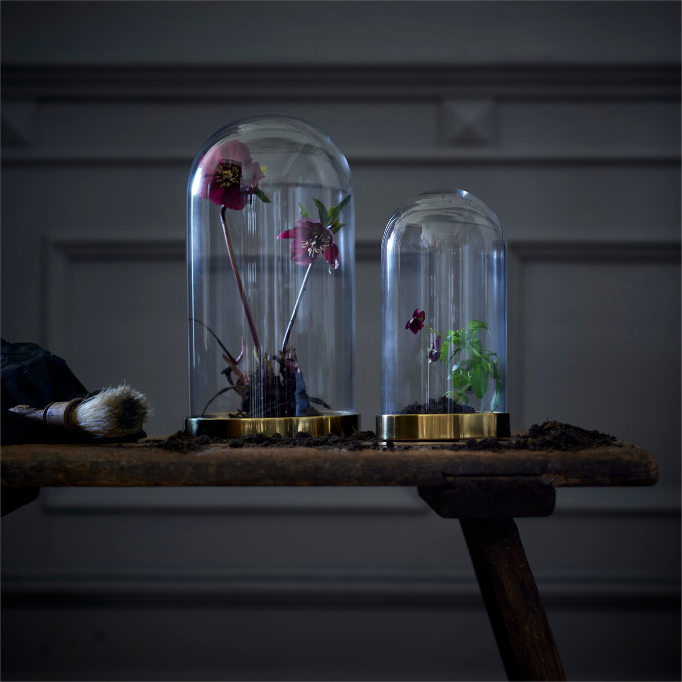 A glass dome with golden base, with flowers inside.